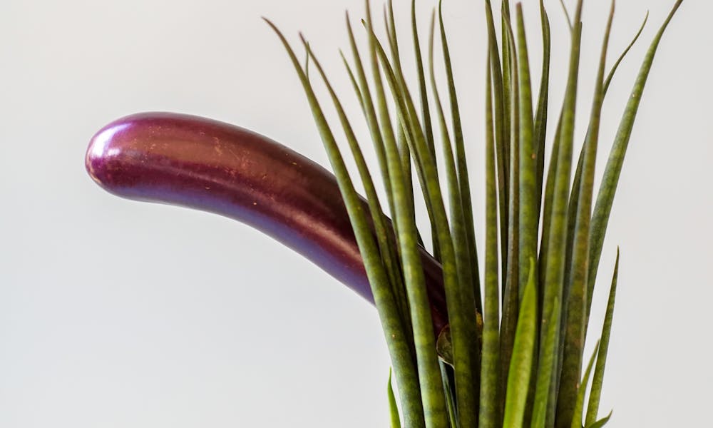 A creative still life image featuring an eggplant and a potted plant in unique arrangement. .pexels