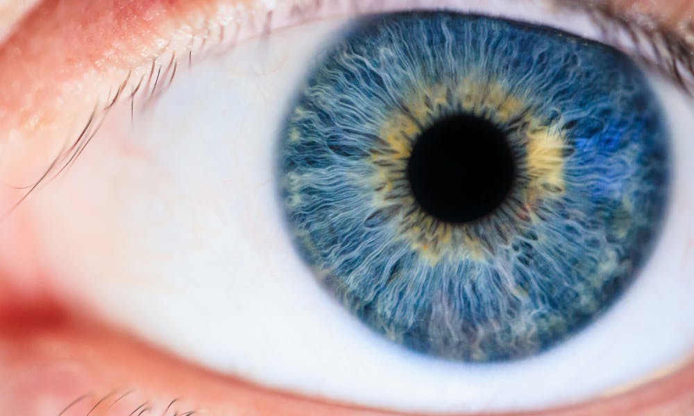 Detailed macro of a human eye showcasing the iris and pupil. .pexels