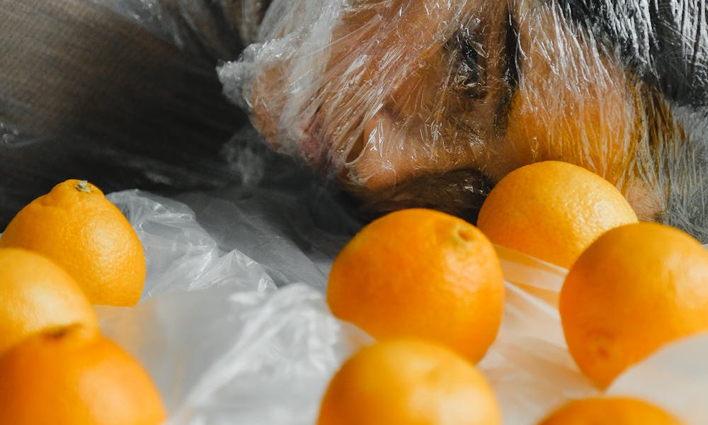 A person wrapped in plastic beside oranges highlights pollution and suffocation. .pexels