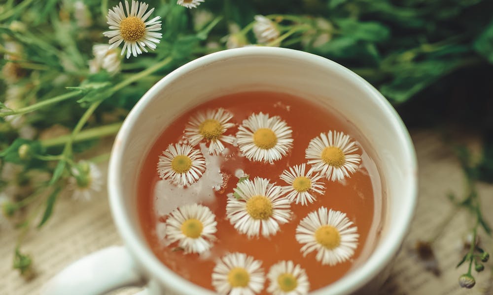 Cup of chamomile tea with fresh chamomile flowers on an open book, creating a serene and soothing scene. .pexels